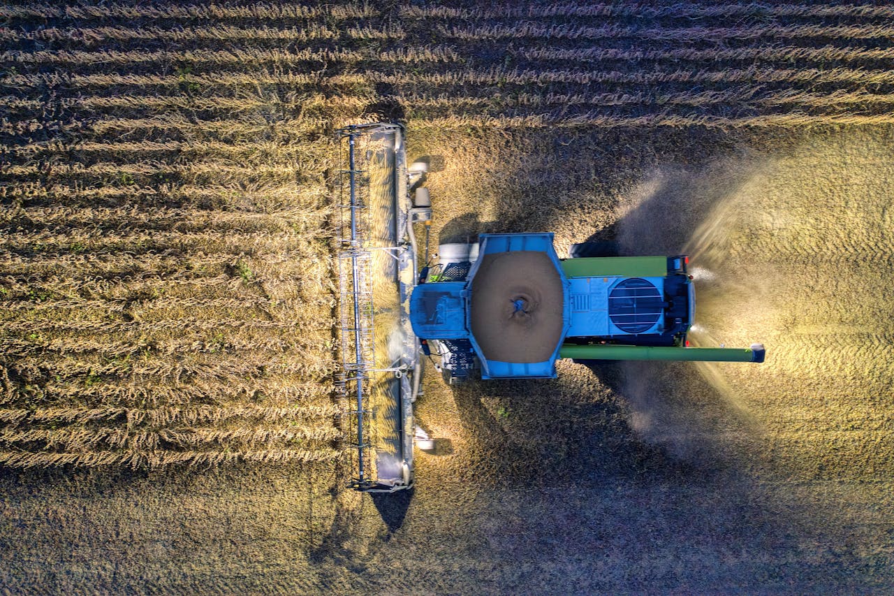 Drone shot of a combine harvester in a Minnesota cornfield during harvest season.